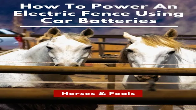Electrify Your Garden: DIY Guide to Building a Strong and Safe Electric Fence with Car Battery