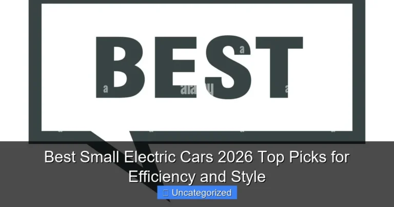 Best Small Electric Cars 2026 Top Picks for Efficiency and Style