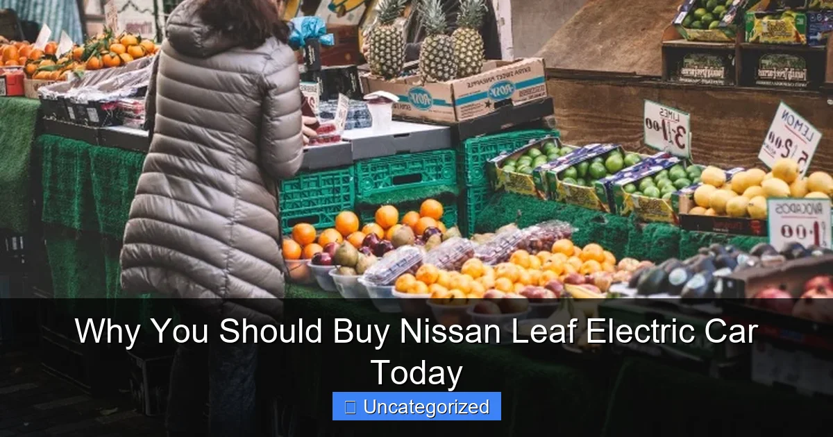 Why You Should Buy Nissan Leaf Electric Car Today