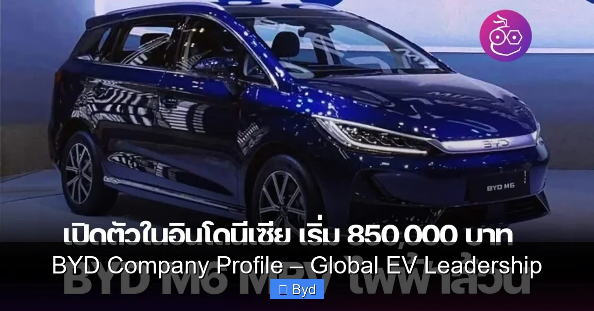 BYD Company Profile – Global EV Leadership - content1 visual guide