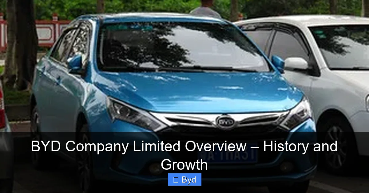 BYD Company Limited Overview – History and Growth - content1 visual guide