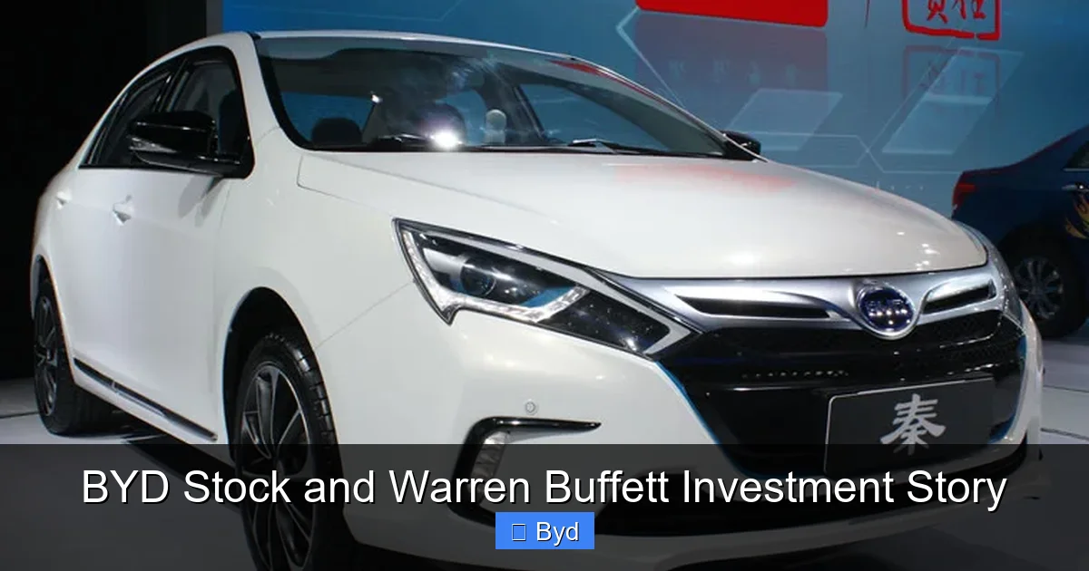 BYD Stock and Warren Buffett Investment Story - content2 visual guide