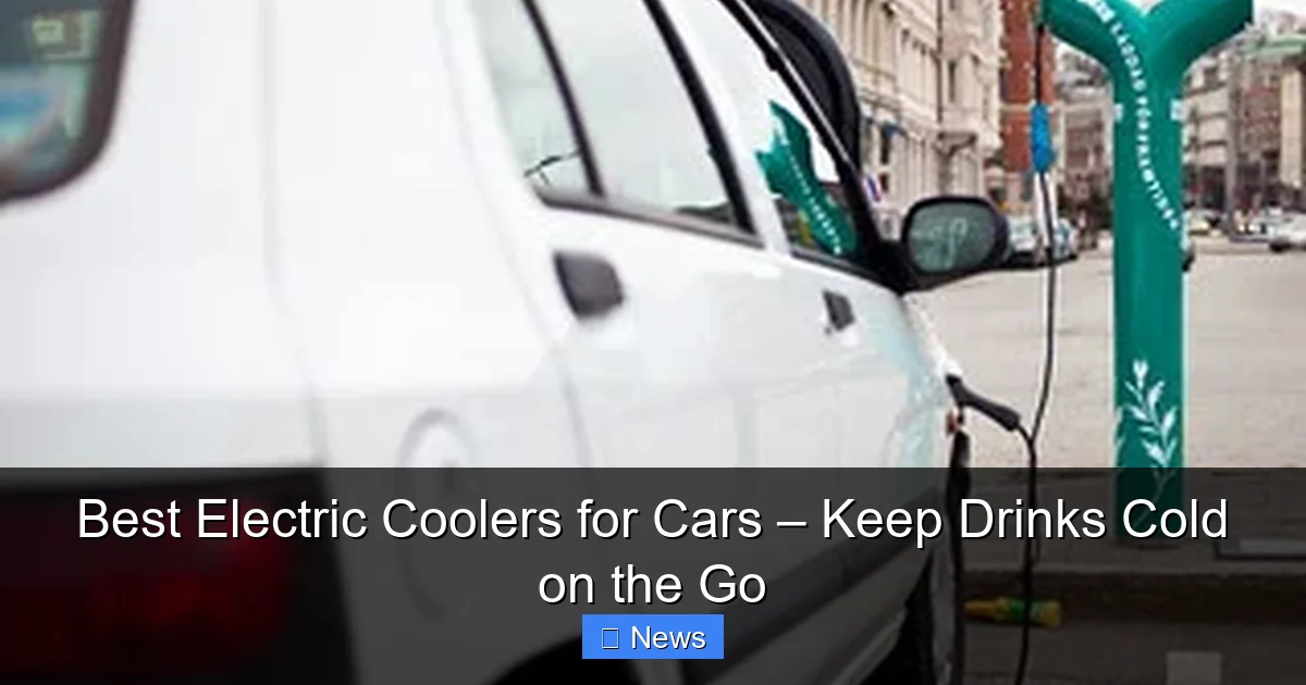 Best Electric Coolers for Cars – Keep Drinks Cold on the Go - content2 visual guide