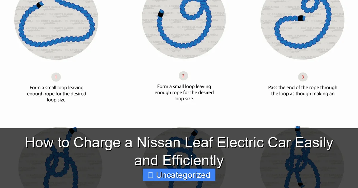 How to Charge a Nissan Leaf Electric Car Easily and Efficiently
