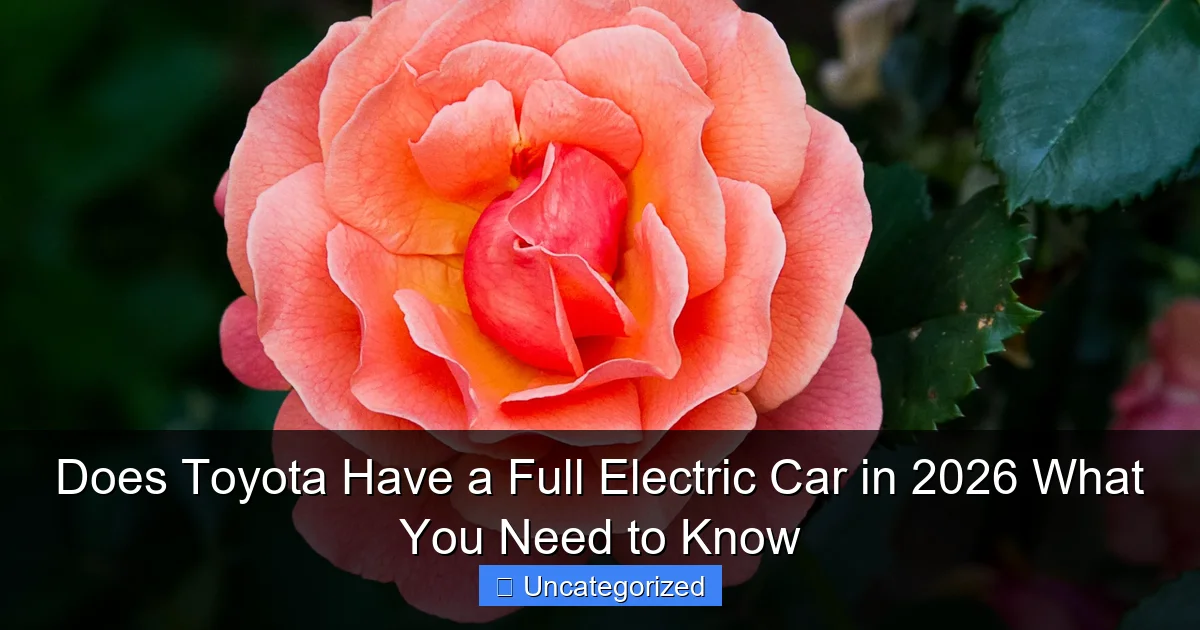 Does Toyota Have a Full Electric Car in 2026 What You Need to Know