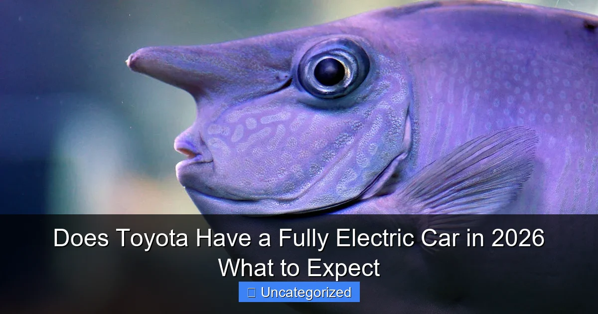 Does Toyota Have a Fully Electric Car in 2026 What to Expect