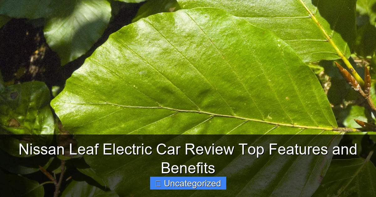 Nissan Leaf Electric Car Review Top Features and Benefits