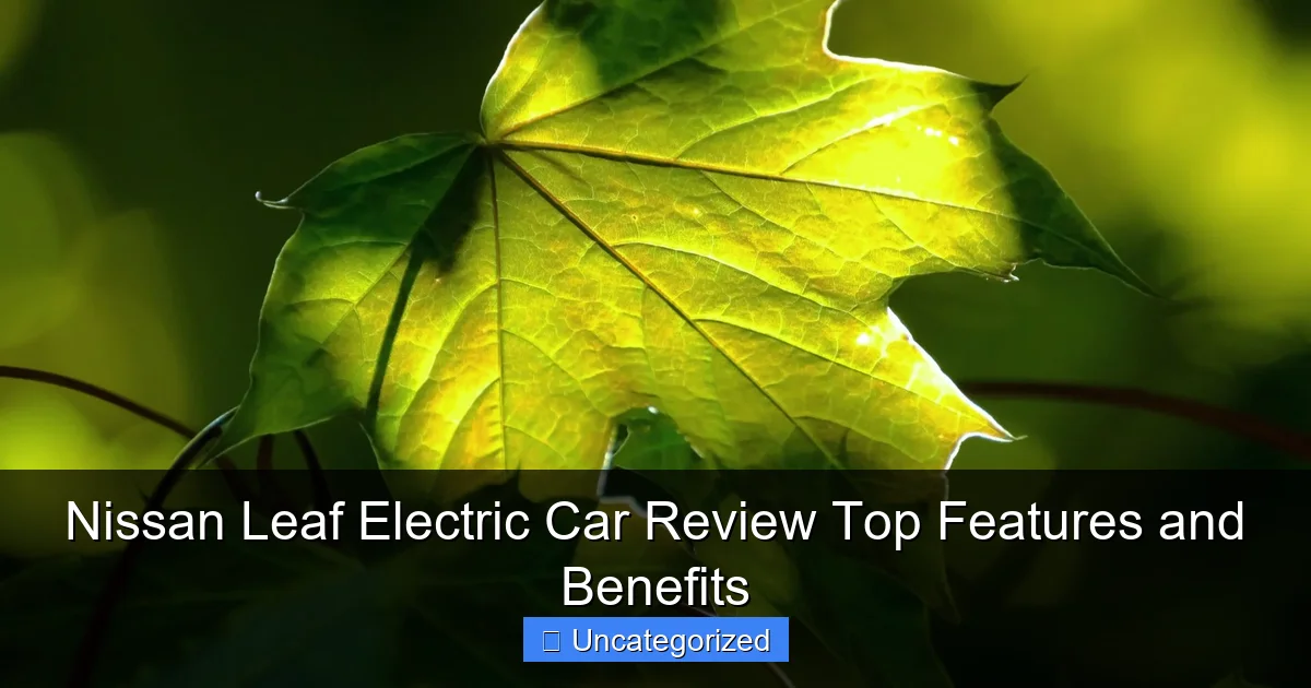 Nissan Leaf Electric Car Review Top Features and Benefits