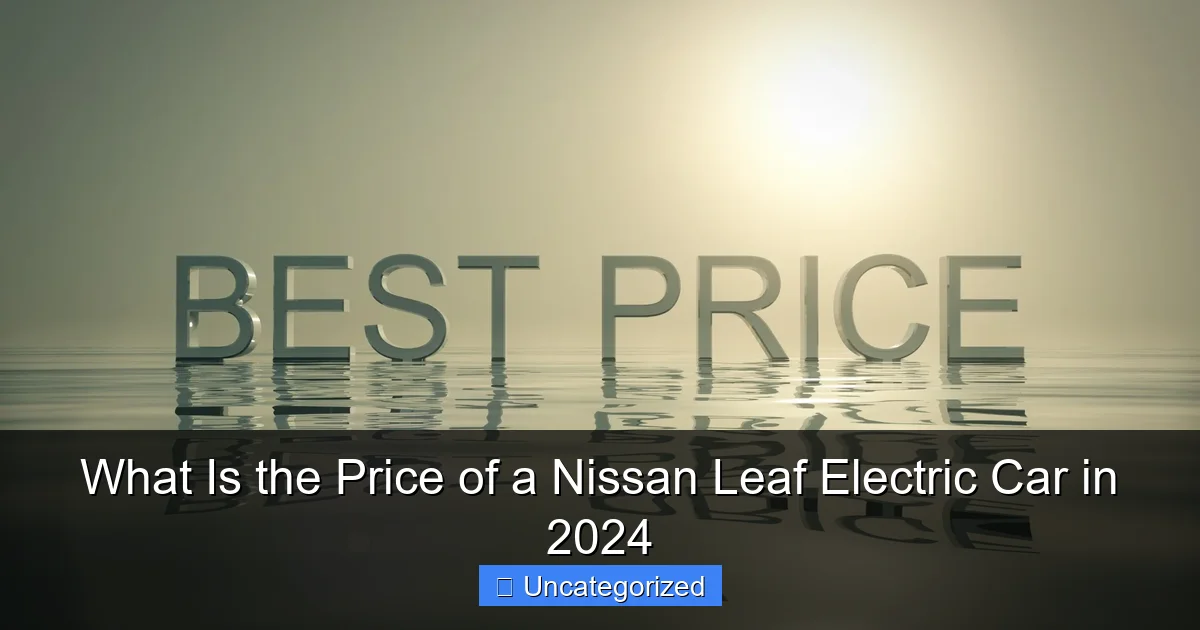What Is the Price of a Nissan Leaf Electric Car in 2024