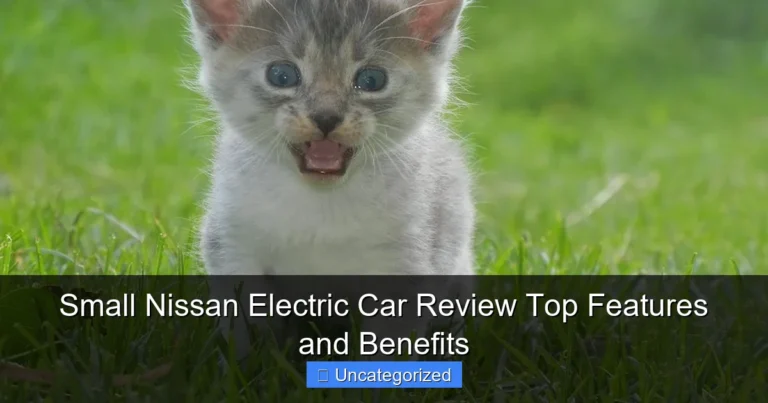 Small Nissan Electric Car Review Top Features and Benefits