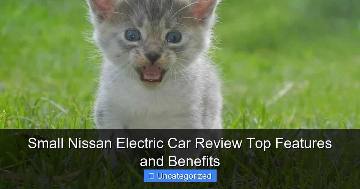 Small Nissan Electric Car Review Top Features and Benefits