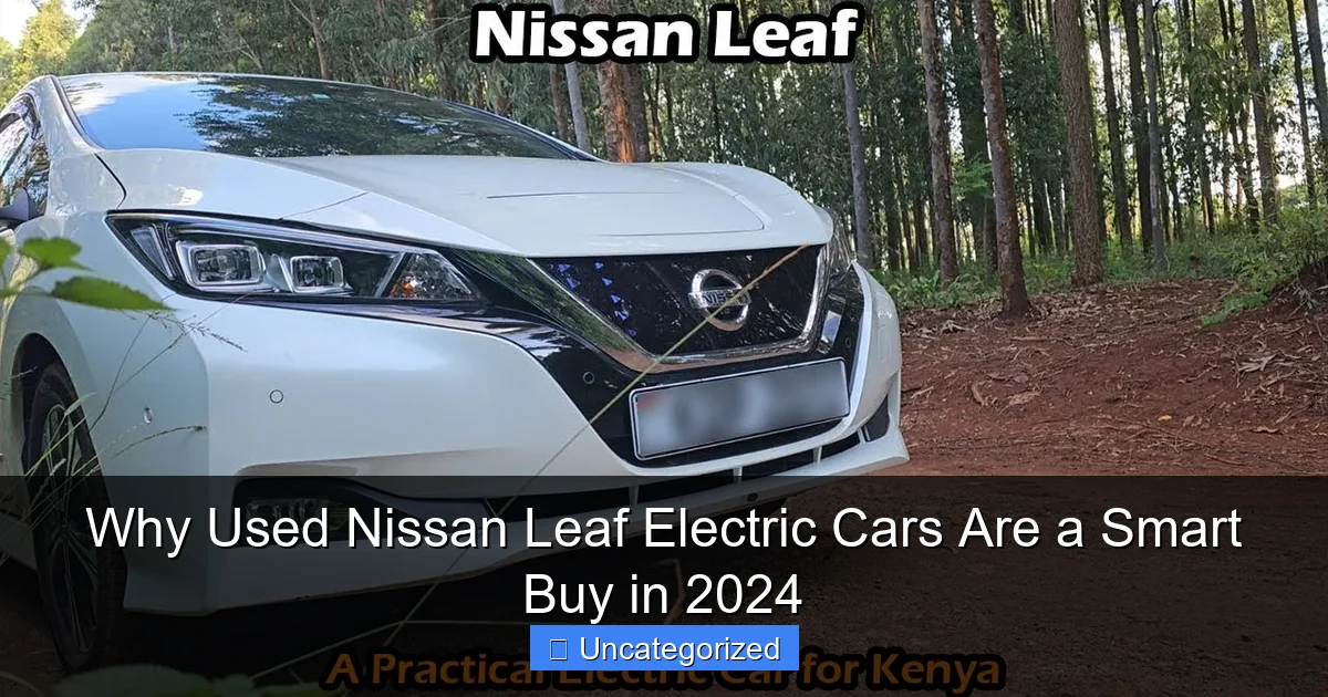 Why Used Nissan Leaf Electric Cars Are a Smart Buy in 2024
