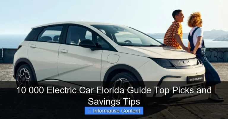 10 000 Electric Car Florida Guide Top Picks and Savings Tips