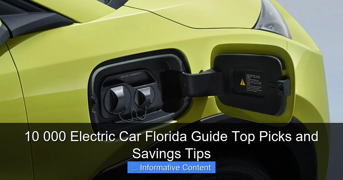 10 000 Electric Car Florida Guide Top Picks and Savings Tips