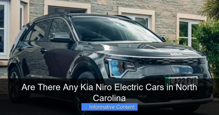 Are There Any Kia Niro Electric Cars in North Carolina