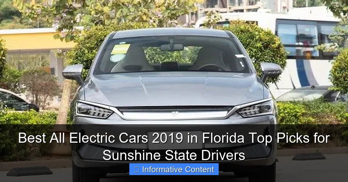 Best All Electric Cars 2019 in Florida Top Picks for Sunshine State Drivers