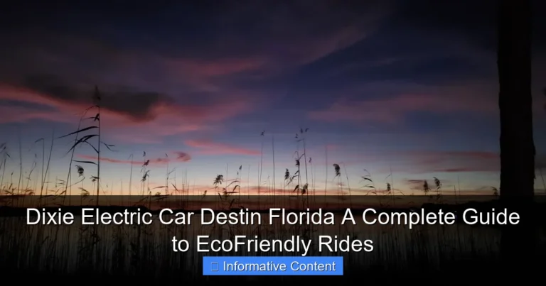Dixie Electric Car Destin Florida A Complete Guide to EcoFriendly Rides