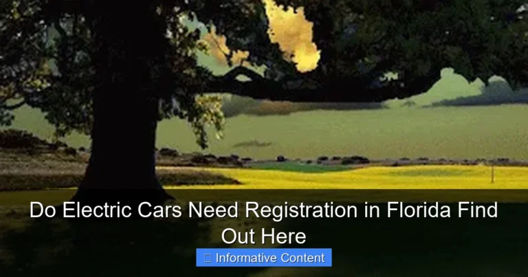 Do Electric Cars Need Registration in Florida Find Out Here