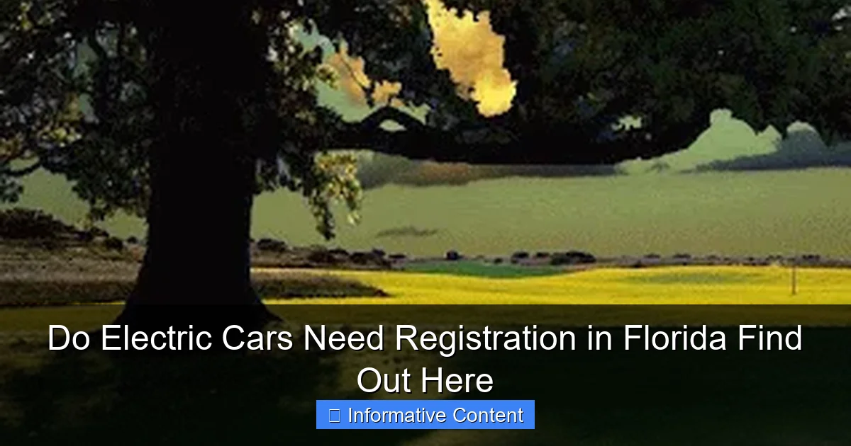 Do Electric Cars Need Registration in Florida Find Out Here