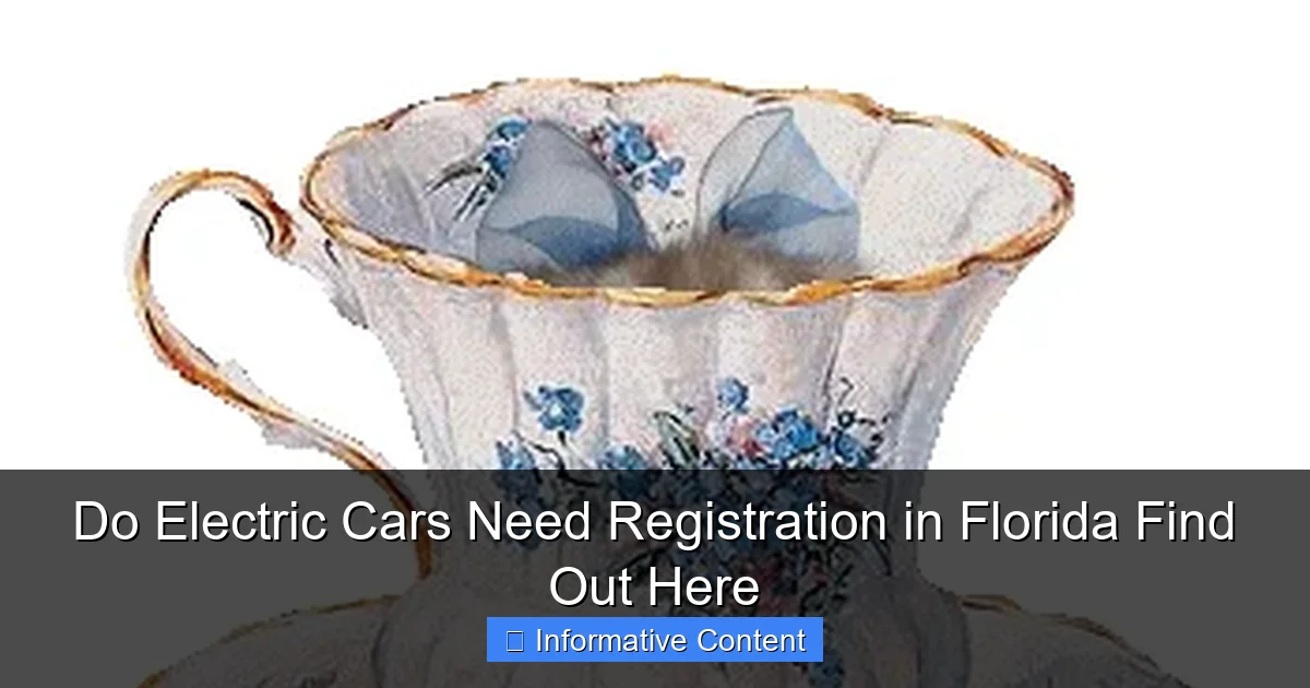 Do Electric Cars Need Registration in Florida Find Out Here