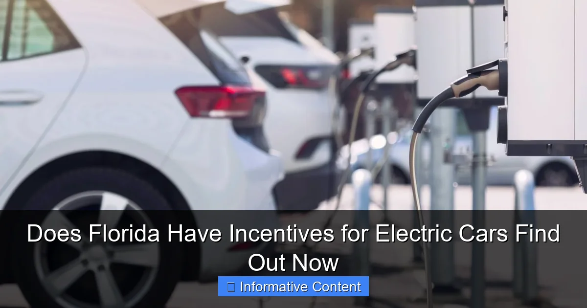 Does Florida Have Incentives for Electric Cars Find Out Now