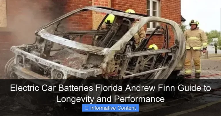 Electric Car Batteries Florida Andrew Finn Guide to Longevity and Performance