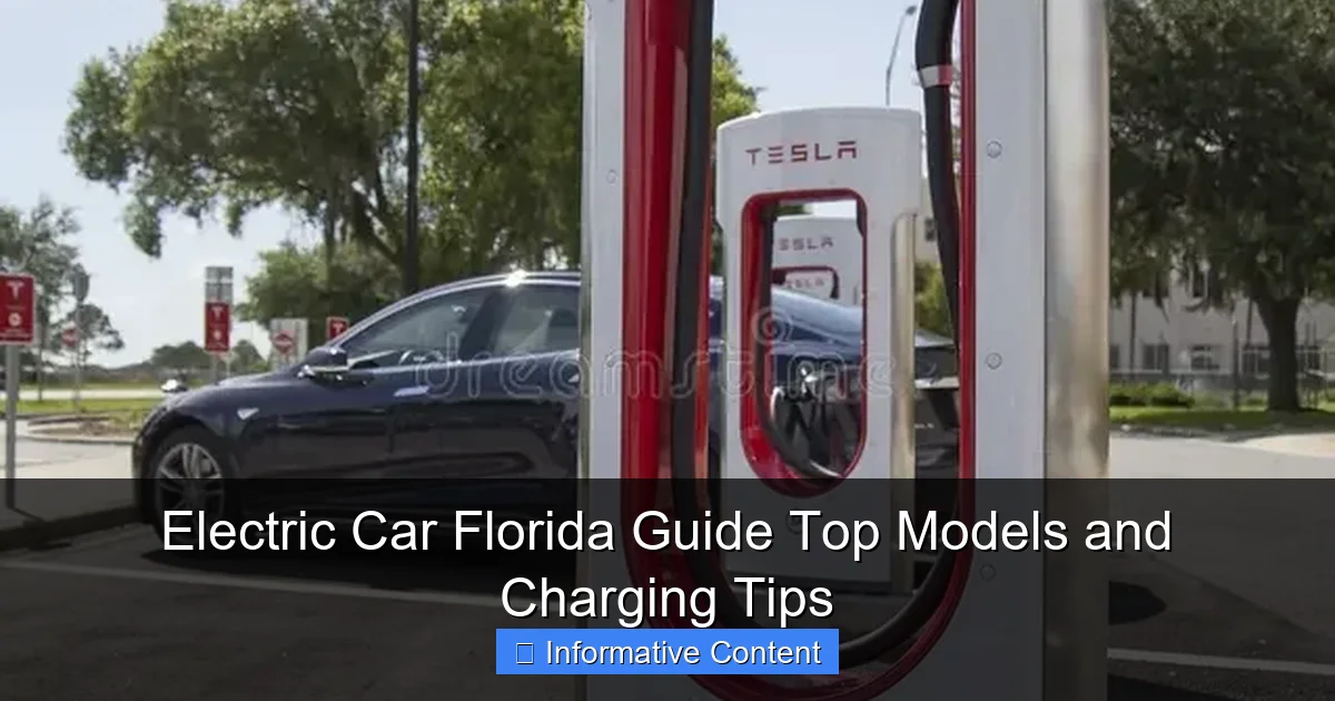 Electric Car Florida Guide Top Models and Charging Tips