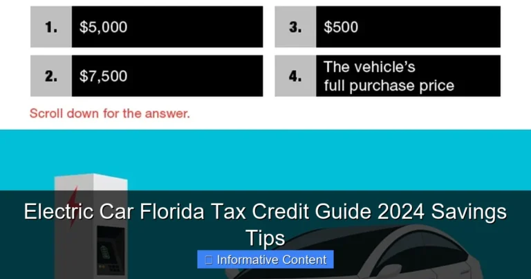Electric Car Florida Tax Credit Guide 2024 Savings Tips