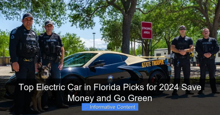 Top Electric Car in Florida Picks for 2024 Save Money and Go Green