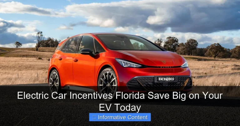 Electric Car Incentives Florida Save Big on Your EV Today