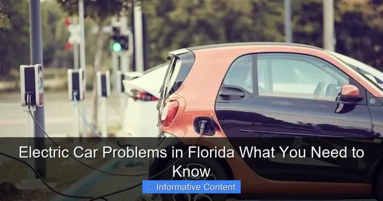 Electric Car Problems in Florida What You Need to Know