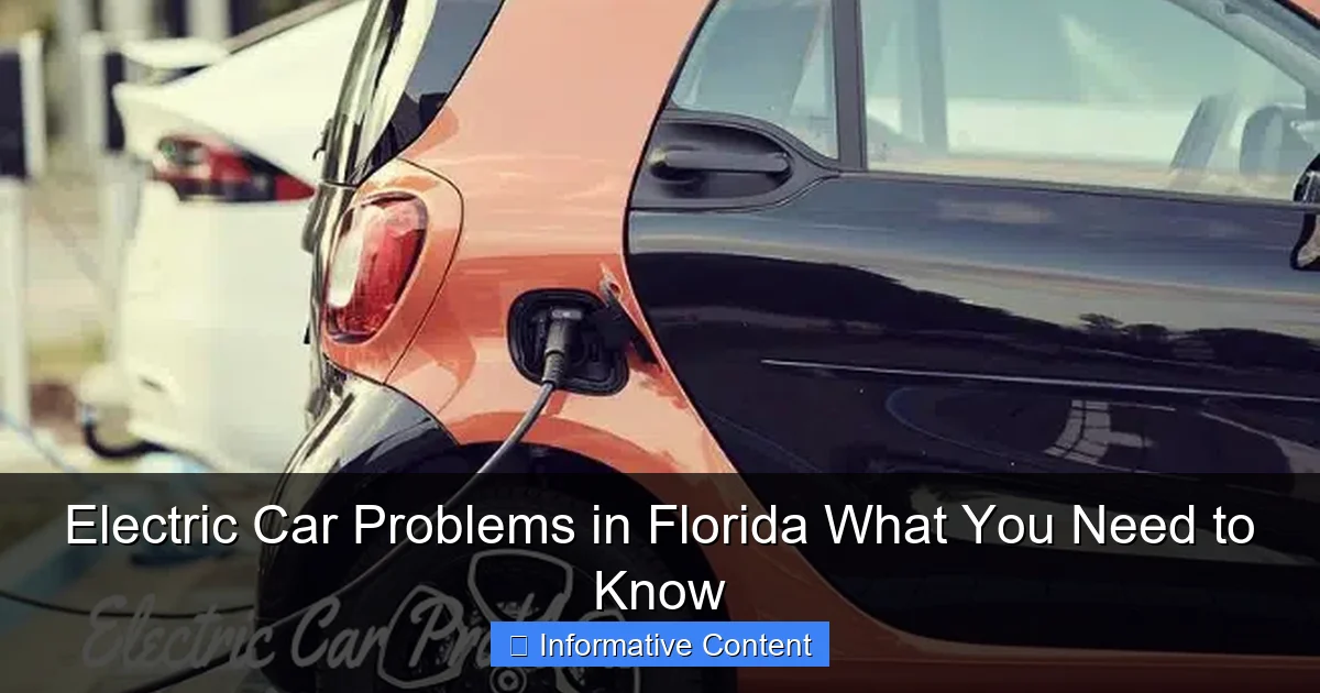 Electric Car Problems in Florida What You Need to Know