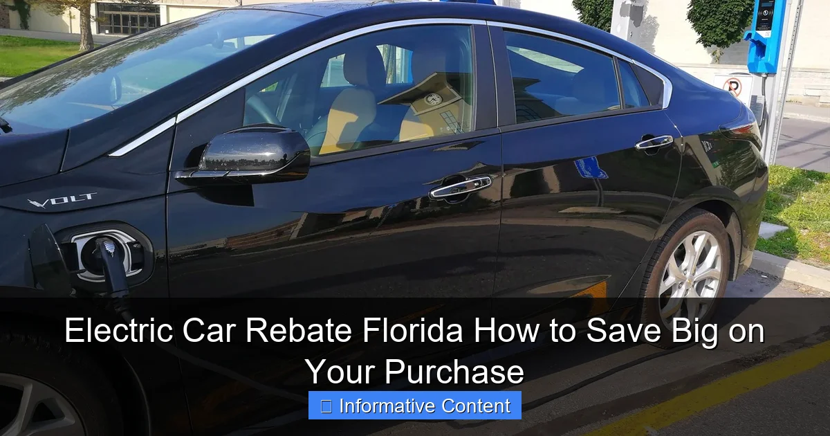 Electric Car Rebate Florida How to Save Big on Your Purchase
