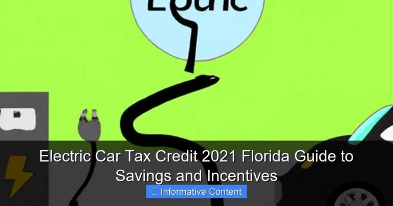 Electric Car Tax Credit 2021 Florida Guide to Savings and Incentives