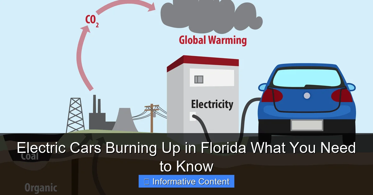 Electric Cars Burning Up in Florida What You Need to Know