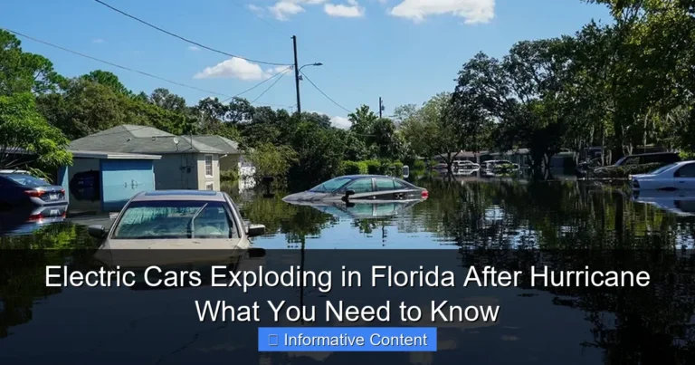 Electric Cars Exploding in Florida After Hurricane What You Need to Know