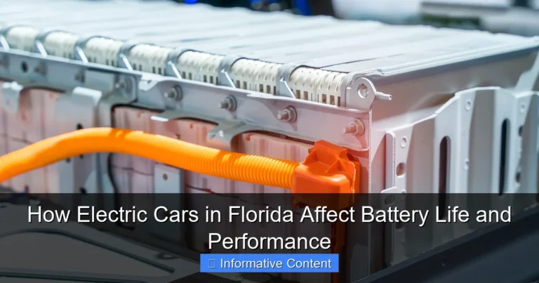 How Electric Cars in Florida Affect Battery Life and Performance