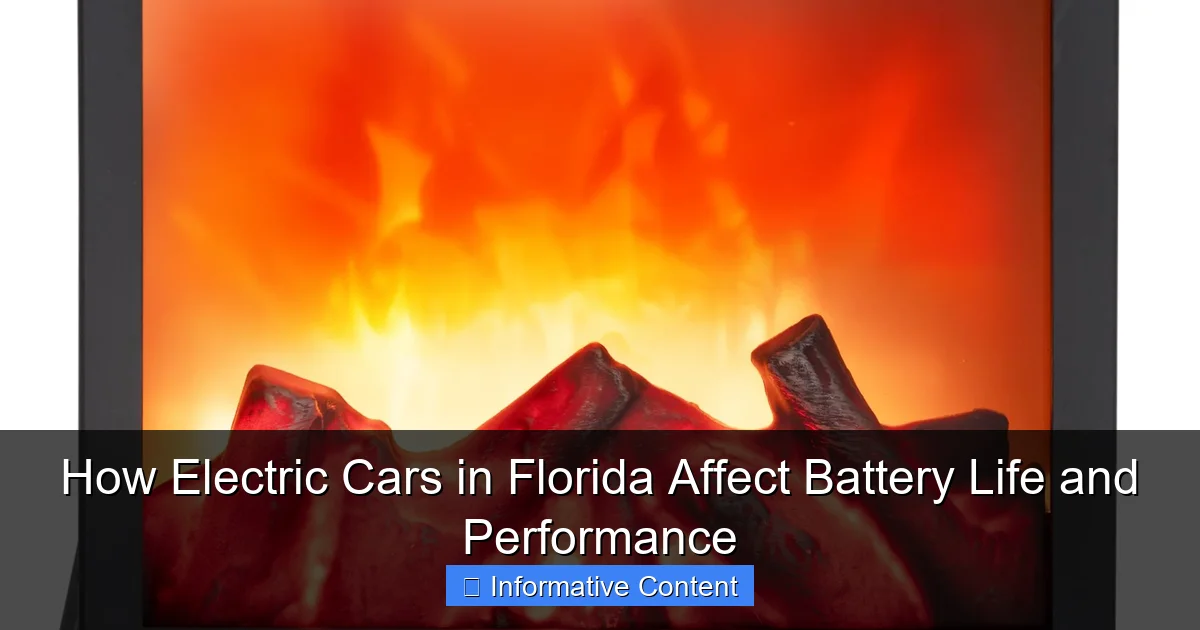 How Electric Cars in Florida Affect Battery Life and Performance