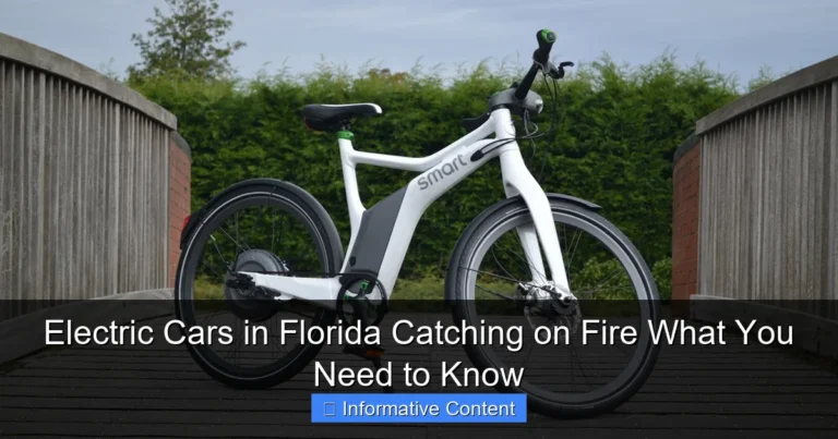 Electric Cars in Florida Catching on Fire What You Need to Know