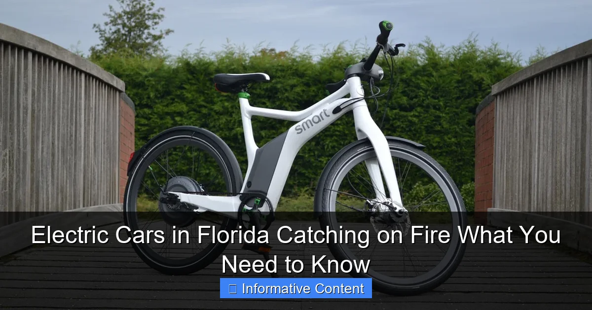 Electric Cars in Florida Catching on Fire What You Need to Know