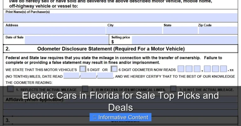 Electric Cars in Florida for Sale Top Picks and Deals