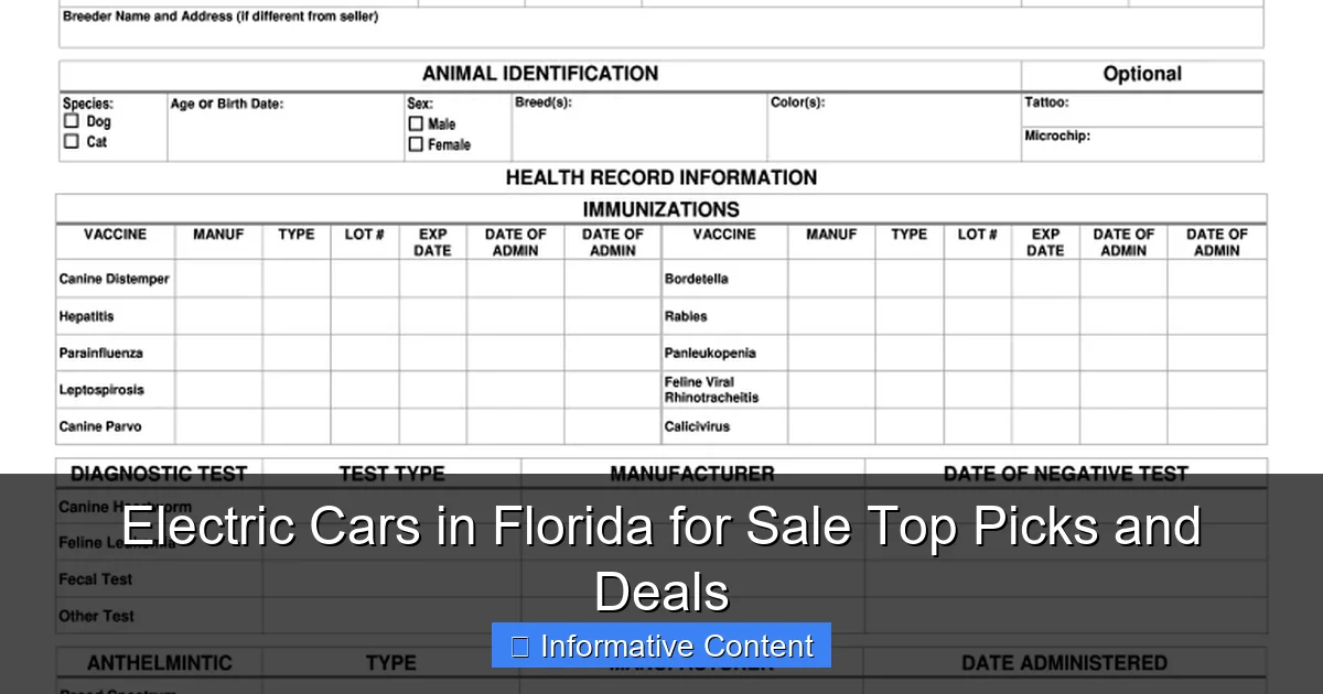 Electric Cars in Florida for Sale Top Picks and Deals