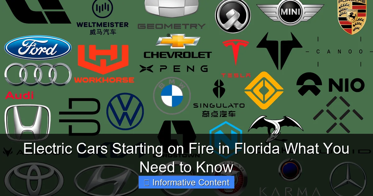 Electric Cars Starting on Fire in Florida What You Need to Know