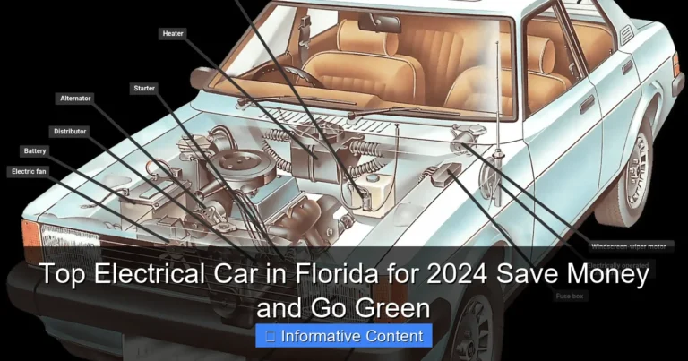 Top Electrical Car in Florida for 2024 Save Money and Go Green