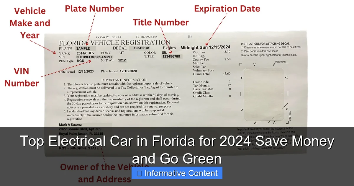Top Electrical Car in Florida for 2024 Save Money and Go Green