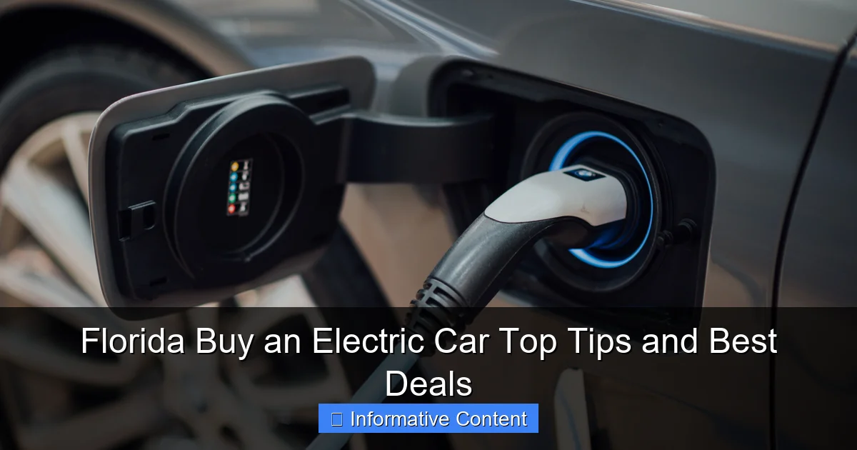 Florida Buy an Electric Car Top Tips and Best Deals
