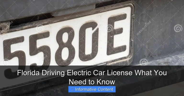 Florida Driving Electric Car License What You Need to Know