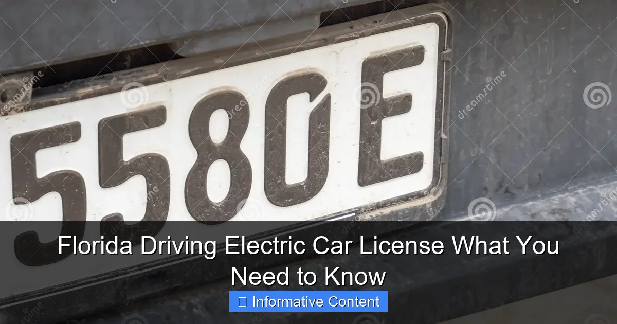 Florida Driving Electric Car License What You Need to Know
