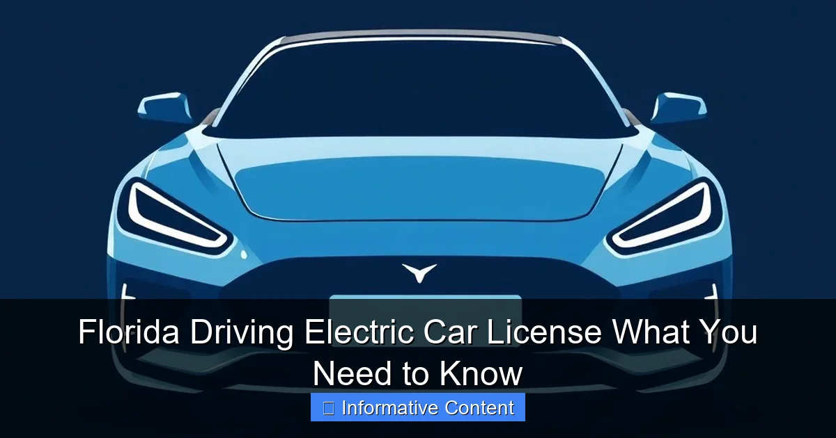 Florida Driving Electric Car License What You Need to Know