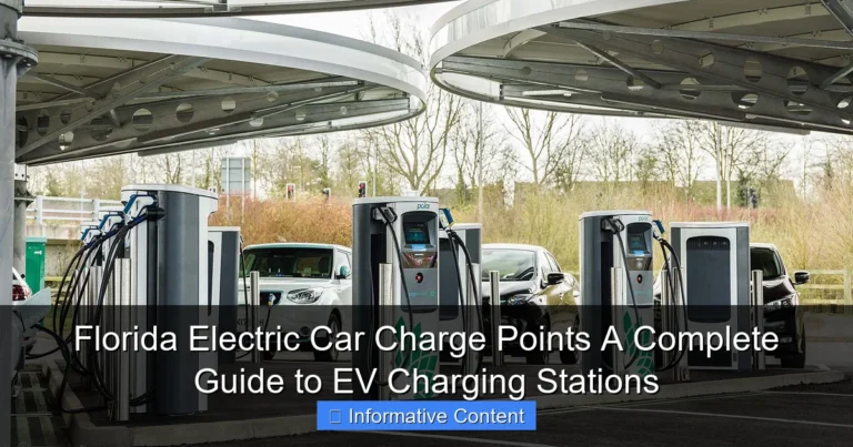 Florida Electric Car Charge Points A Complete Guide to EV Charging Stations